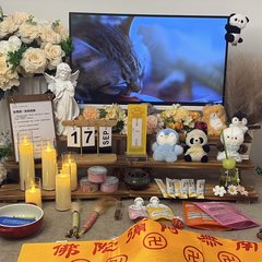 宠物家长客户见证