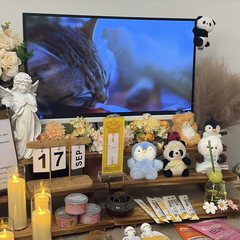 宠物家长客户见证